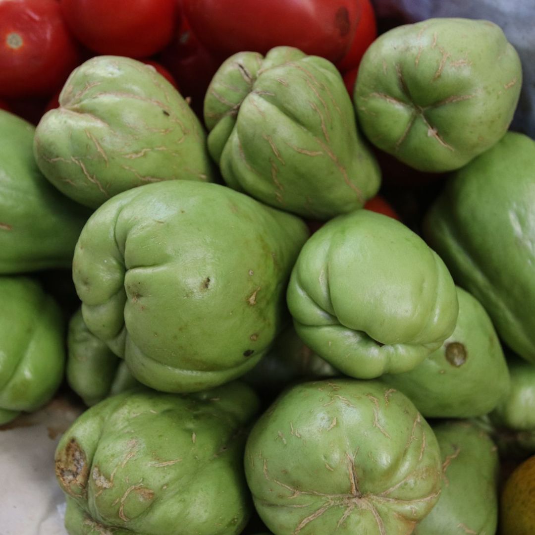 Chayote mexicano. Foto: Cuartoscuro/ Archivo